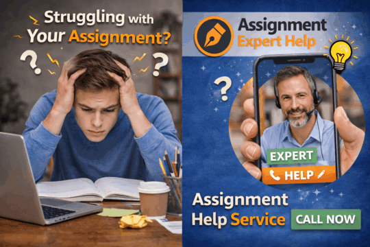 assignment help services