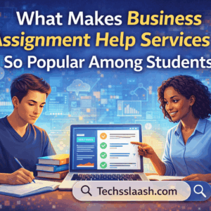 Popular business assignment help services