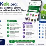 APKek_org